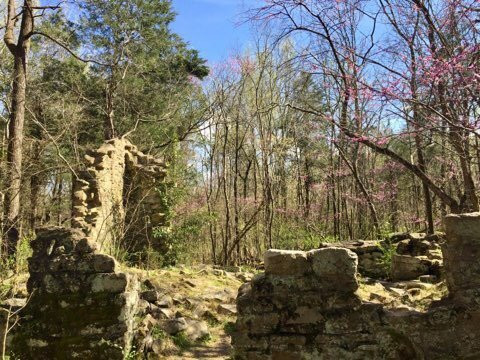 Reedy Creek Nature Center and Preserve景点图片