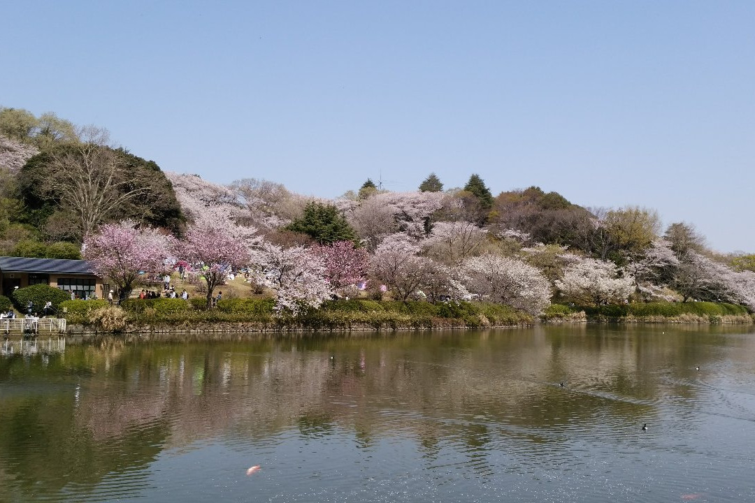 Mitsuike Park景点图片