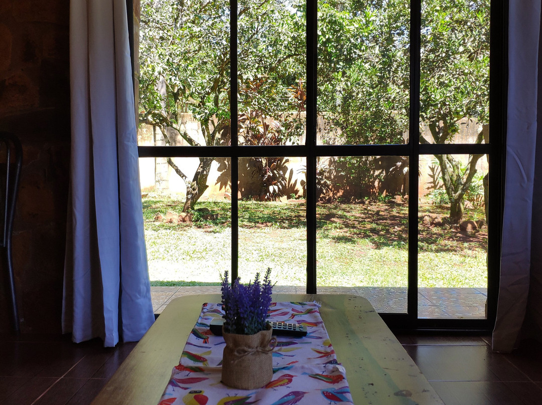 Apart 21 Oranges主图