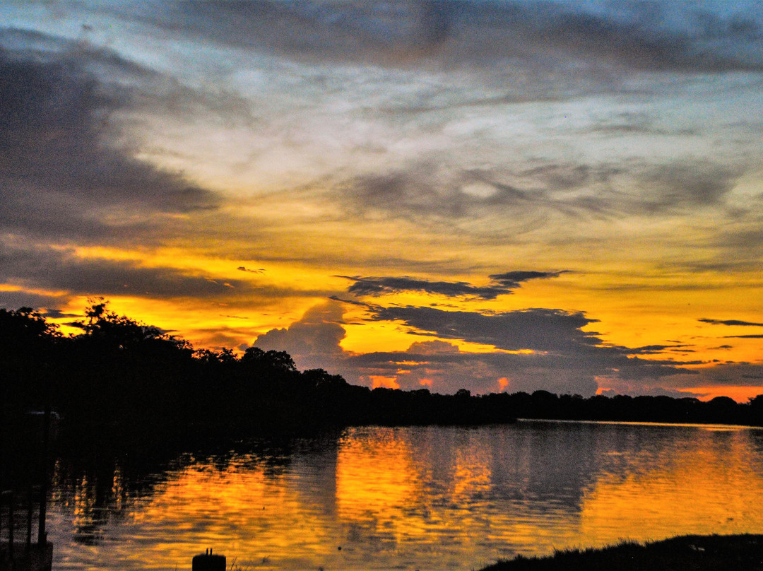 Jungle Tours Amazonas Colombia景点图片