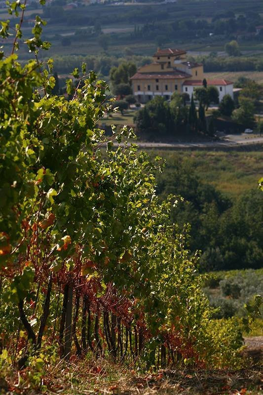 Fattoria di Casalbosco-Santomato必去景点