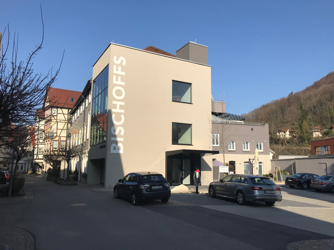 Bischoffs Hotel主图