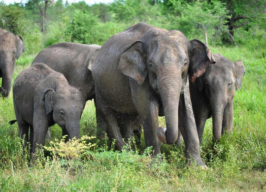 KAS Cabs and Taxi-唐卡拉必去景点