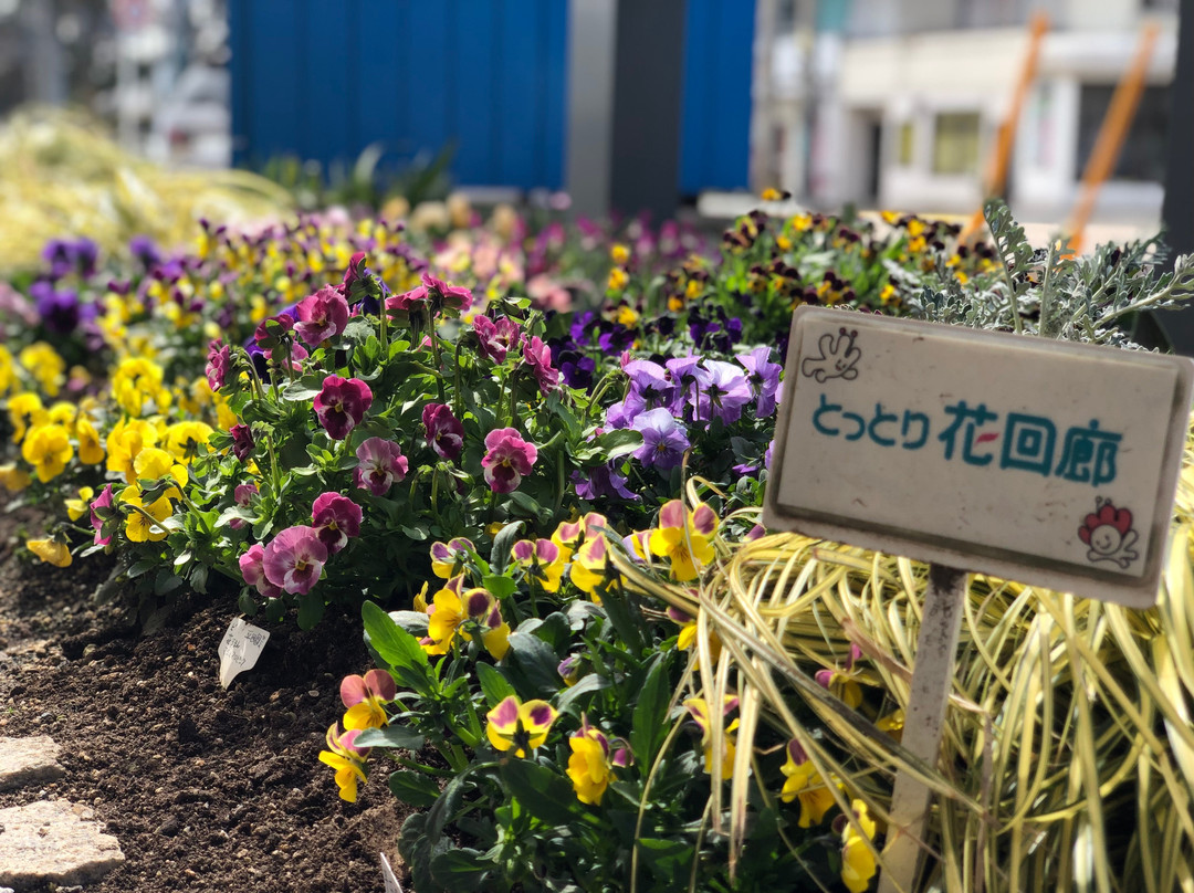 Hanakaze no Ashiyu-米子市必去景点