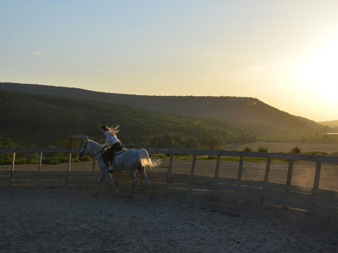 Horse Rides Eco Rest景点图片
