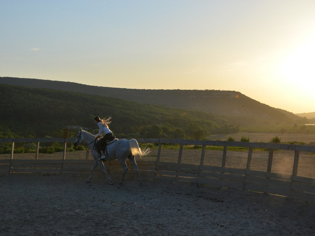 Horse Rides Eco Rest-Kashtanove必去景点