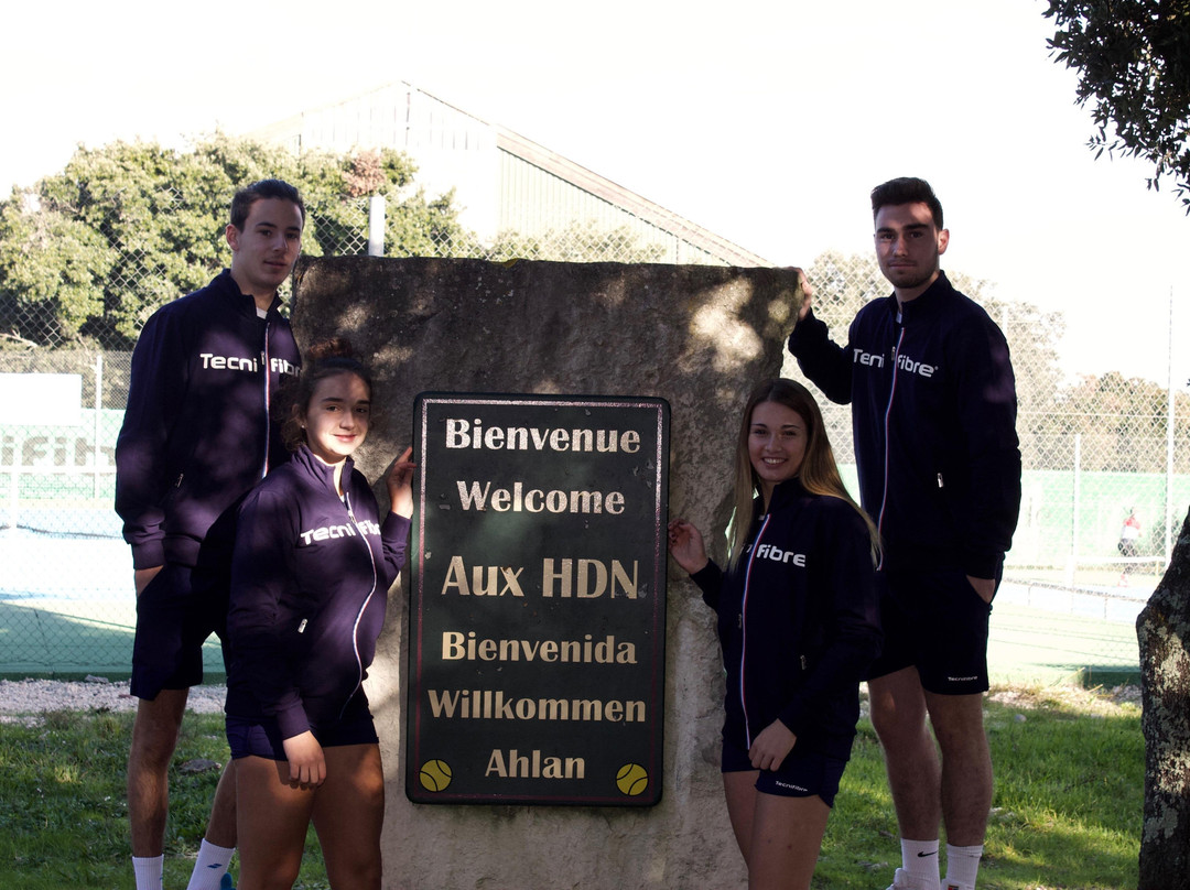 HDN Academy-尼姆必去景点