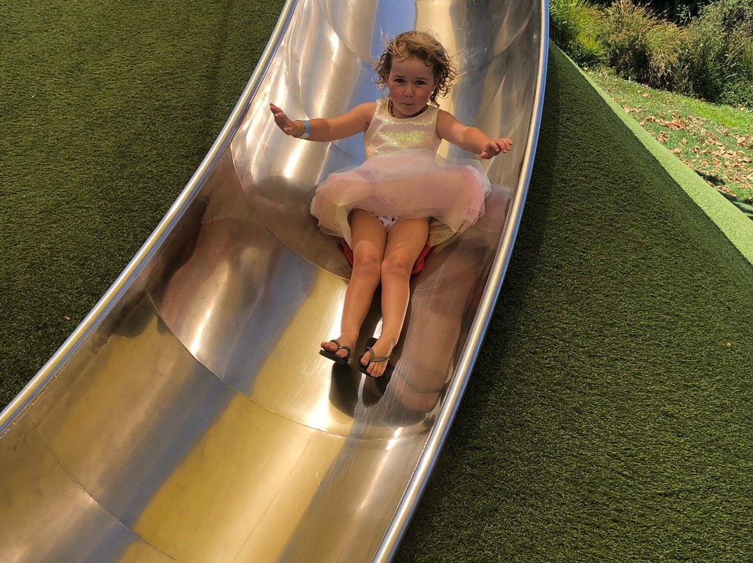 Whoa Studios-奥克兰中心地区必去景点