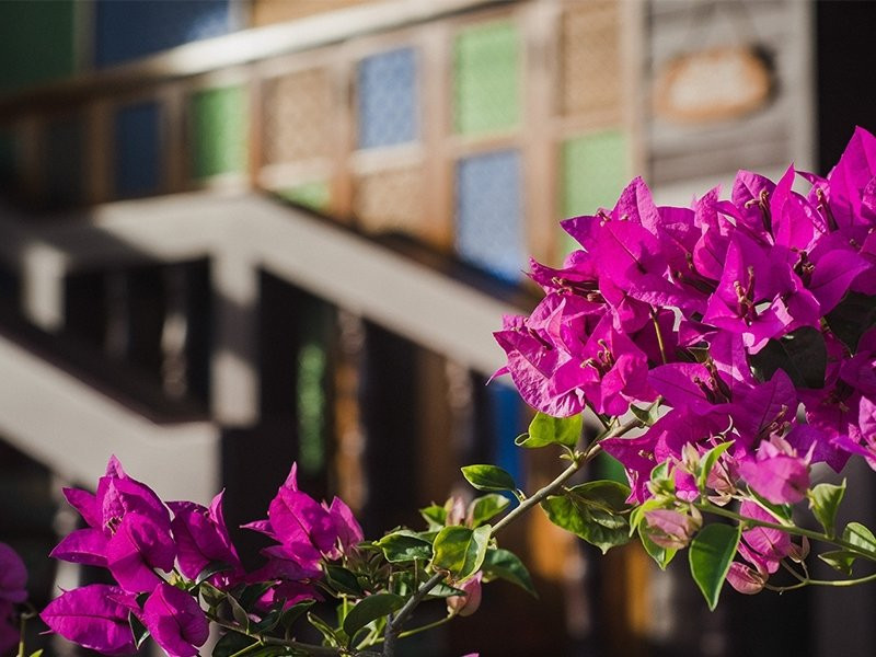 Baan Pun Sook Resort主图