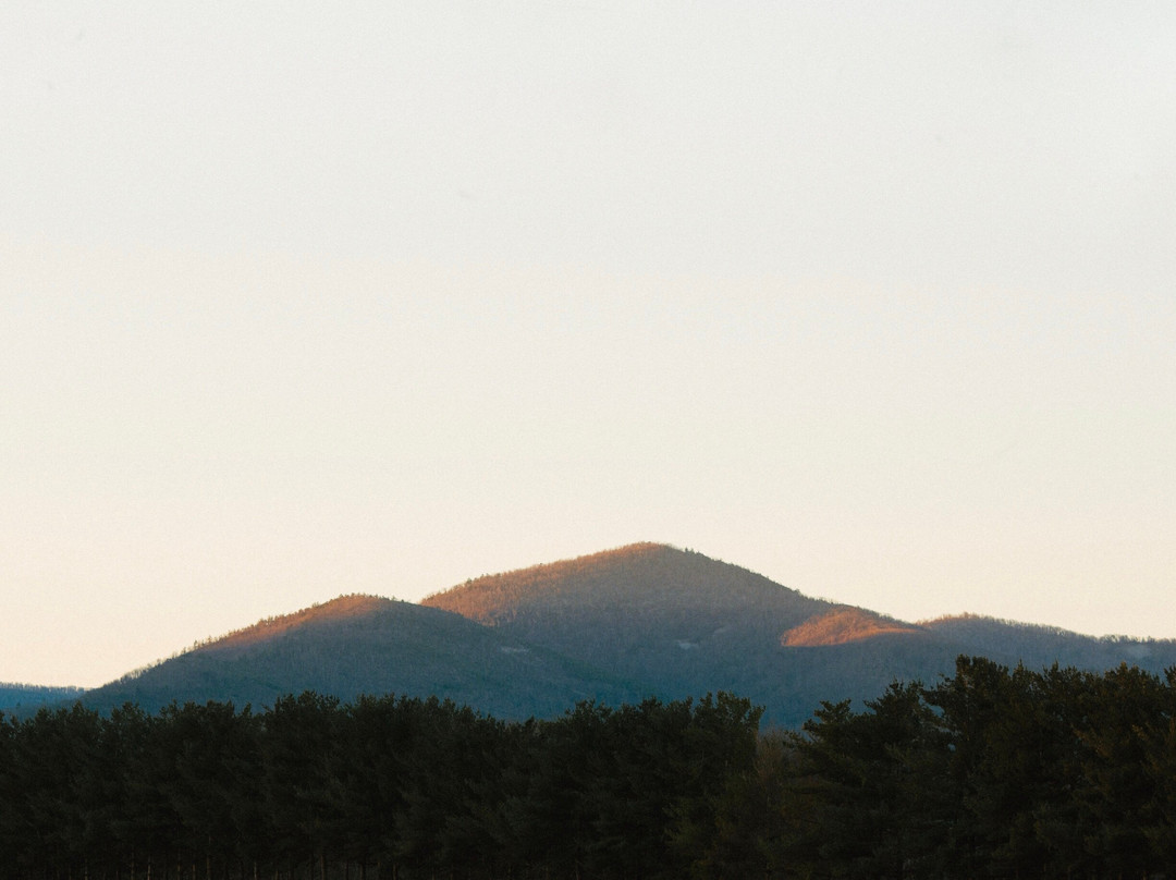 Cave Hill Farm Bed and Breakfast主图
