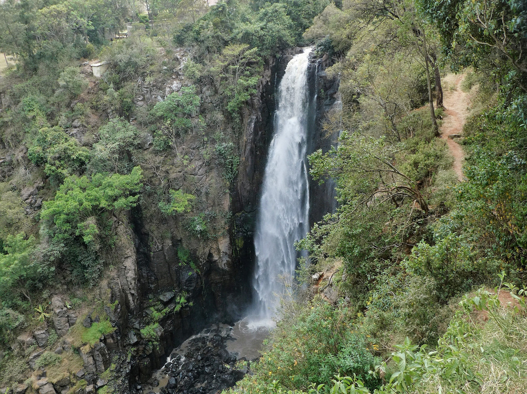 Thomson's Falls-阿伯德尔国家公园必去景点