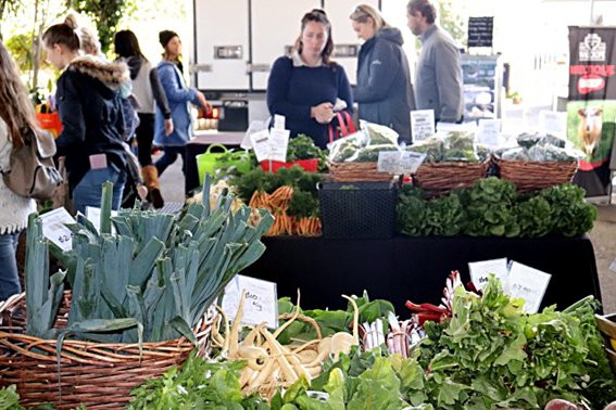 Gosford City Farmers Market景点图片