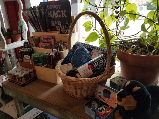 Javelinas and Hollyhocks-Fort Davis必去景点