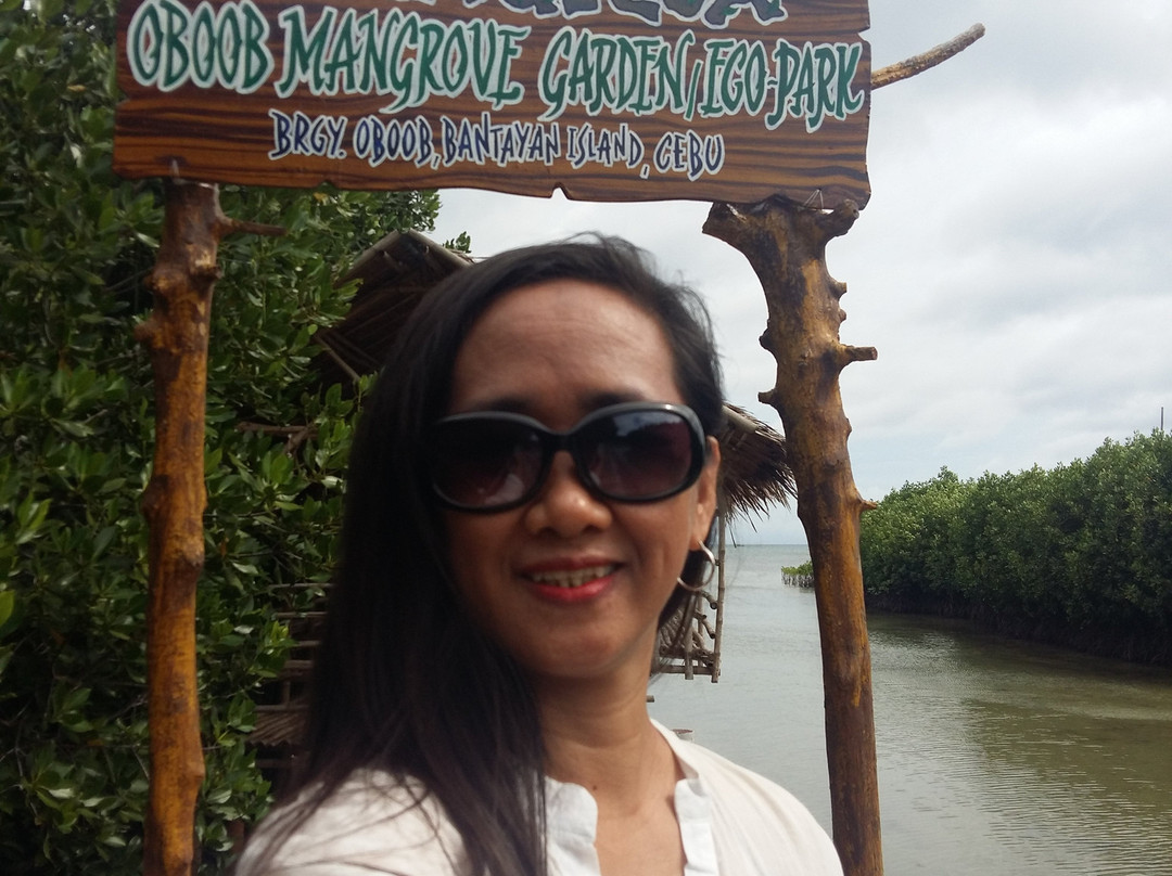 Omagieca Mangrove Garden景点图片