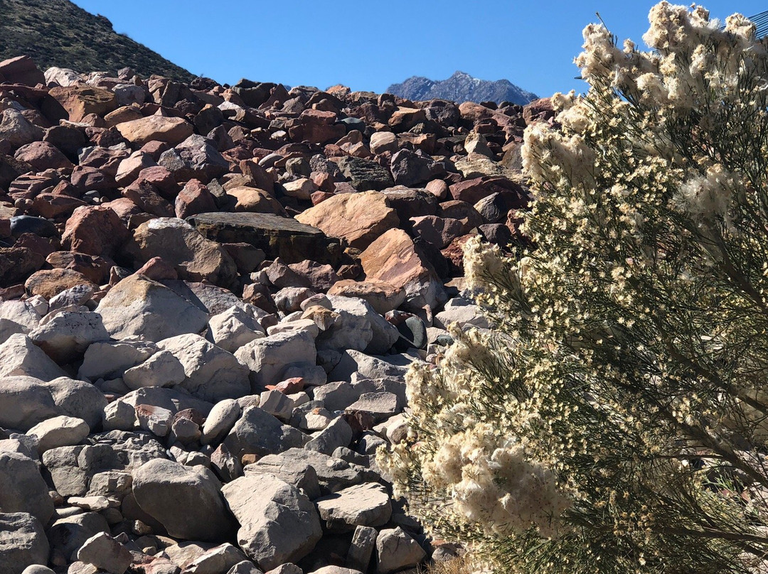 Theodore Roosevelt Lake Marina-Roosevelt必去景点