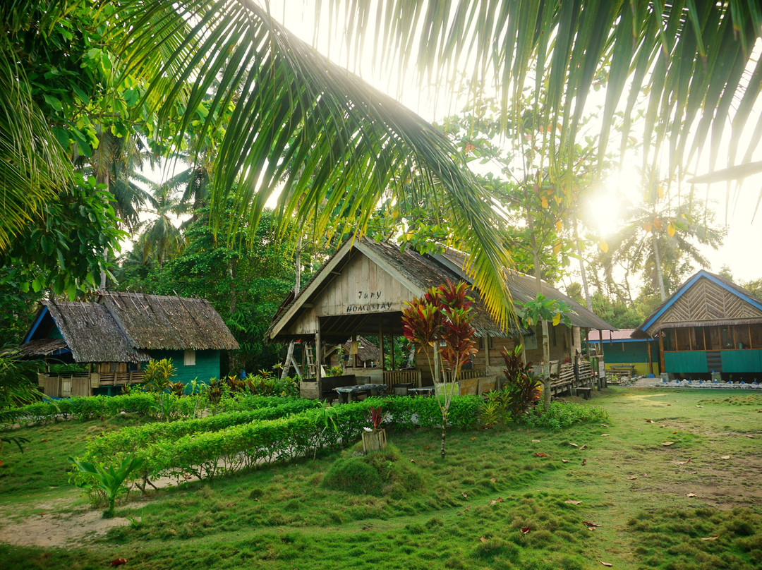 Jupys Surf Camp