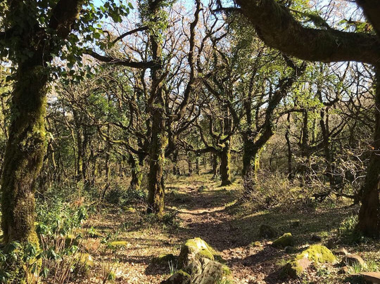 Mundo Posibilidades Ocio & Actividades-Los Barrios必去景点
