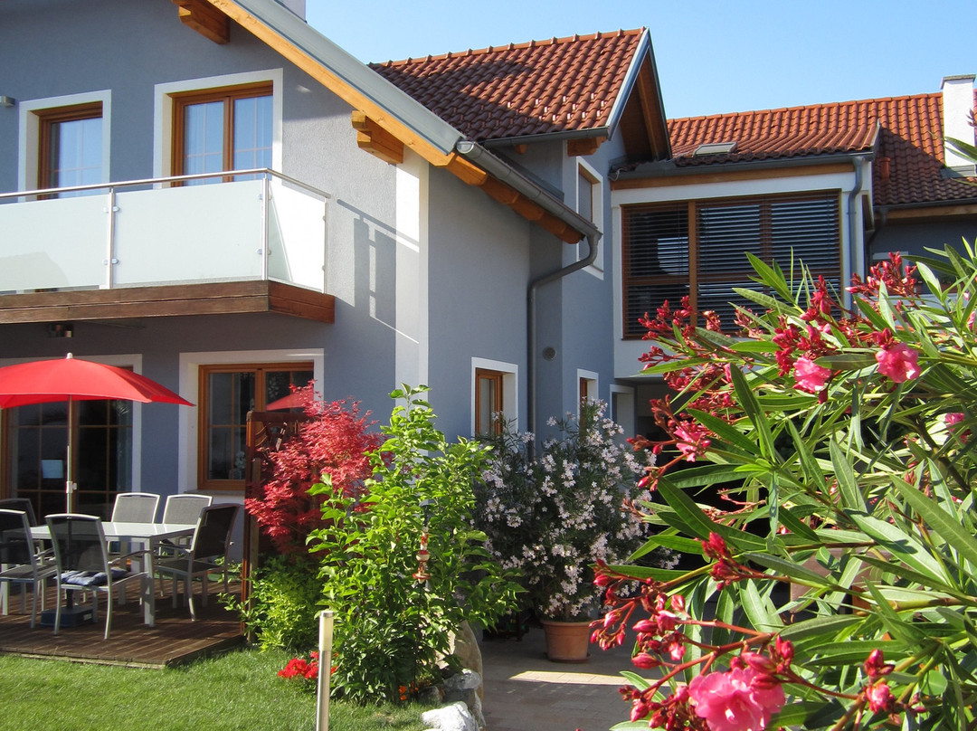 Fels am Wagram旅游攻略图片