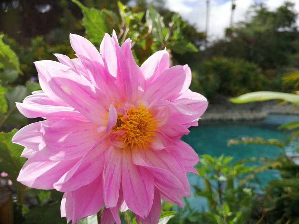 Hosteria Izhcayluma主图