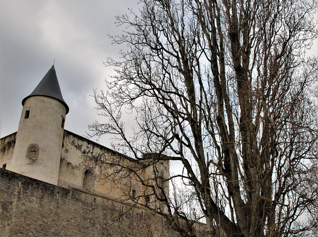 Castle-Museum of Noirmoutier en L'isle景点图片
