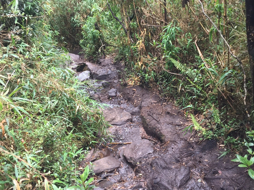 Iguaque National Park-莱瓦镇必去景点
