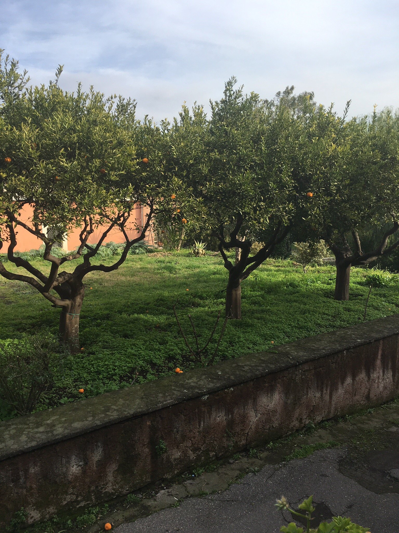 B&B ValleAllegra-官方