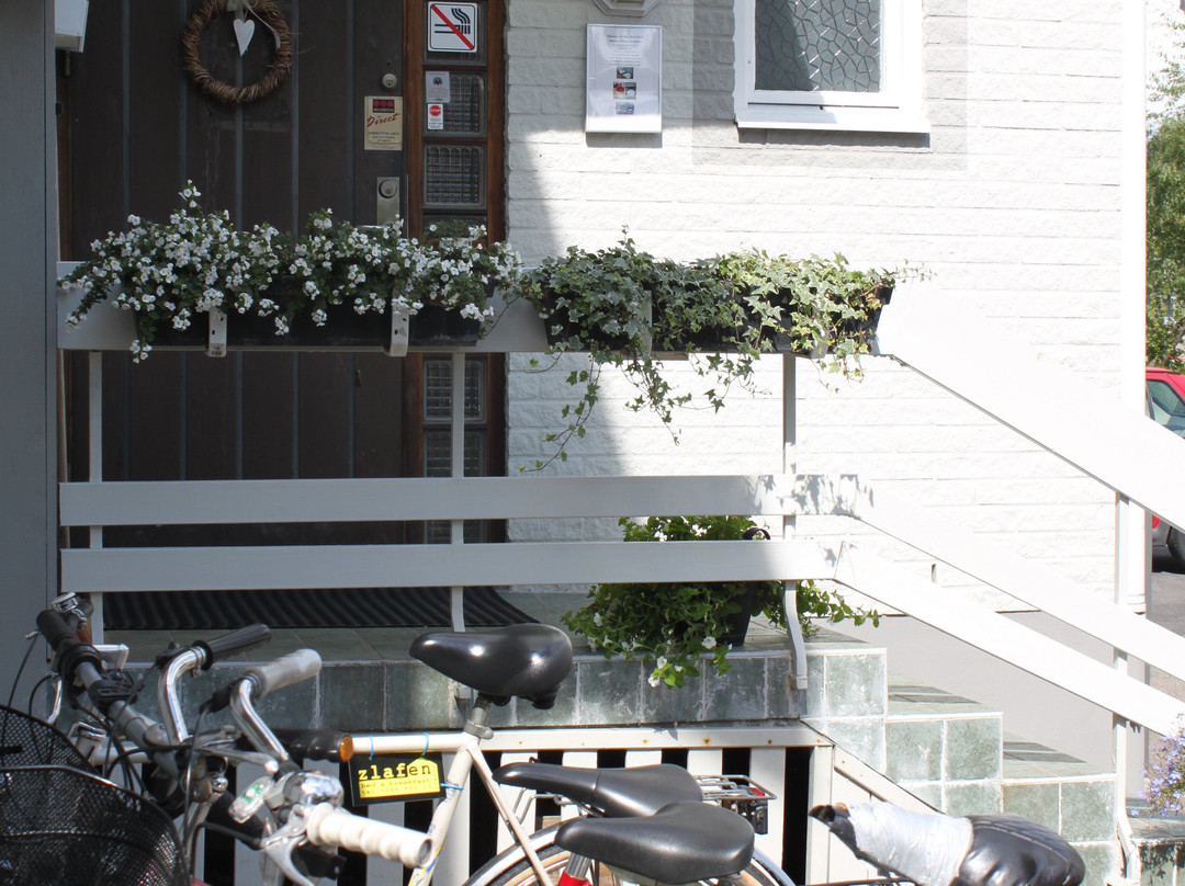 Hotell Zlafen Bed & Breakfast主图