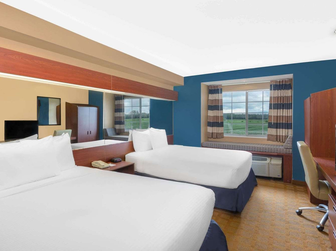 Microtel Inn & Suites by Wyndham Starkville主图