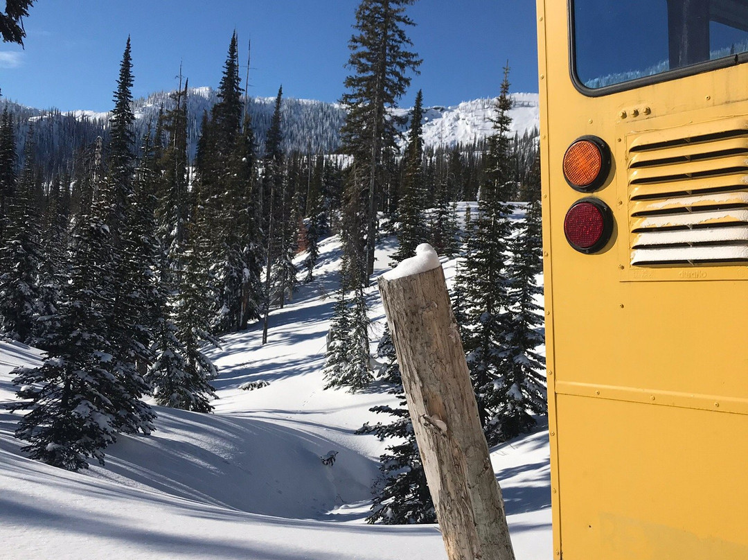 Fernie Wilderness Day Adventures-弗尼必去景点
