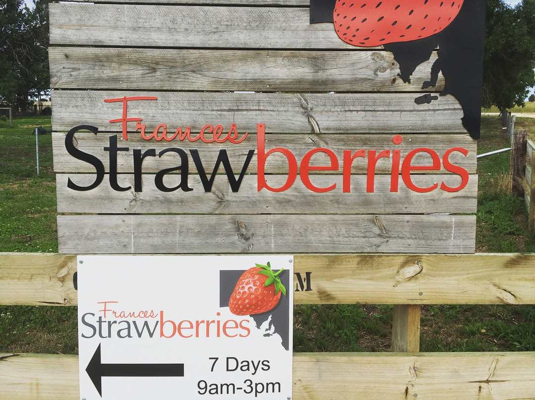 Frances Strawberries-Naracoorte必去景点