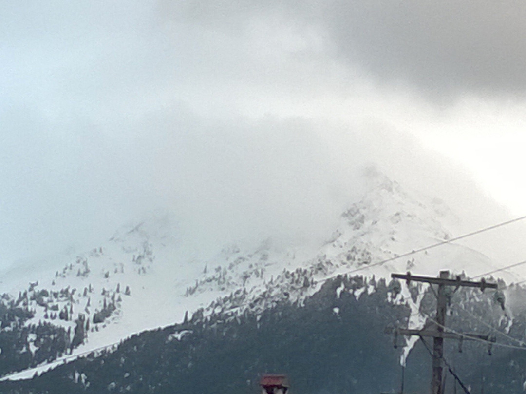 Guesthouse  Gonia主图