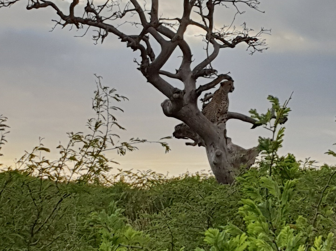 Hluhluwe - iMfolozi Park Wilderness Area景点图片