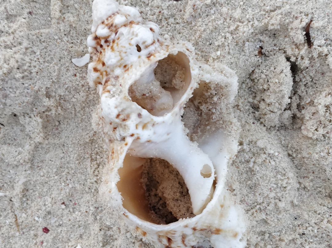 Agatti Island-Lakshadweep必去景点