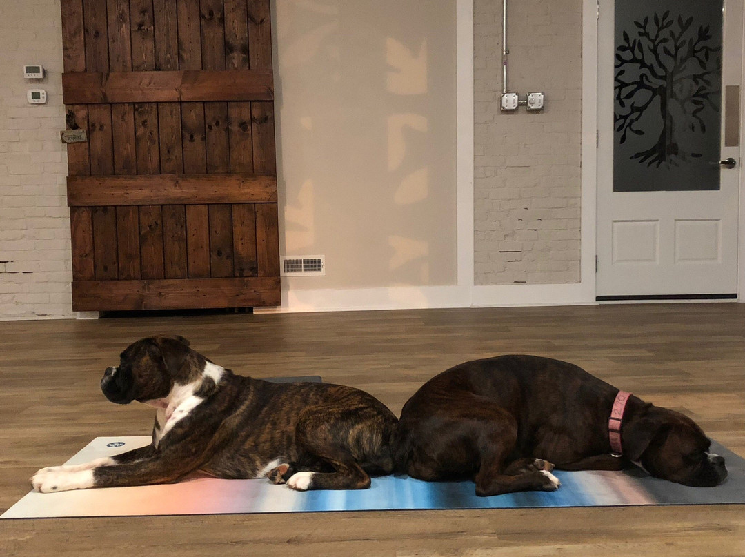 KARMA Yoga & Hot Yoga Studio-伊丽莎白敦必去景点