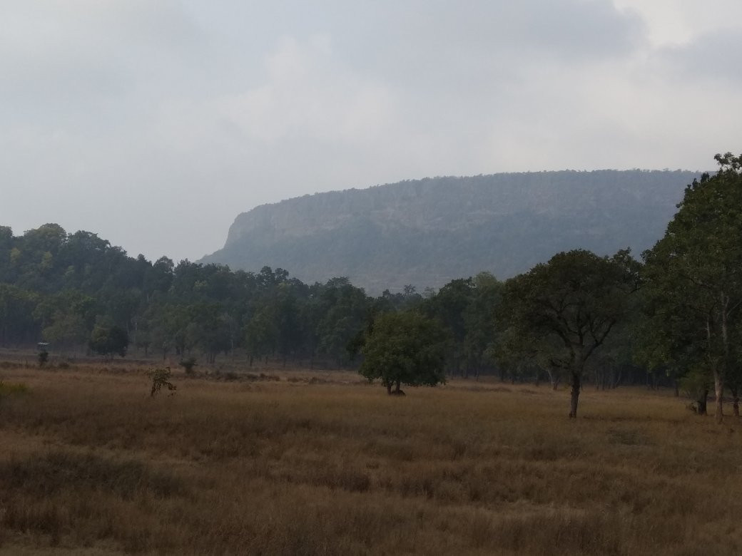 Bandhavgarh National Park景点图片