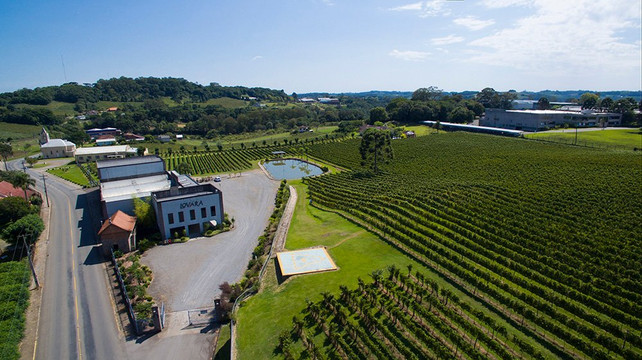 Vinícola Lovara-本图贡萨尔维斯必去景点