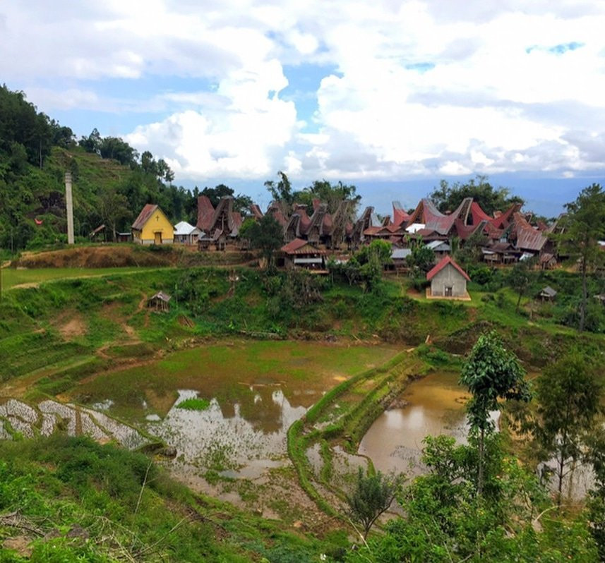 Toraja Village景点图片