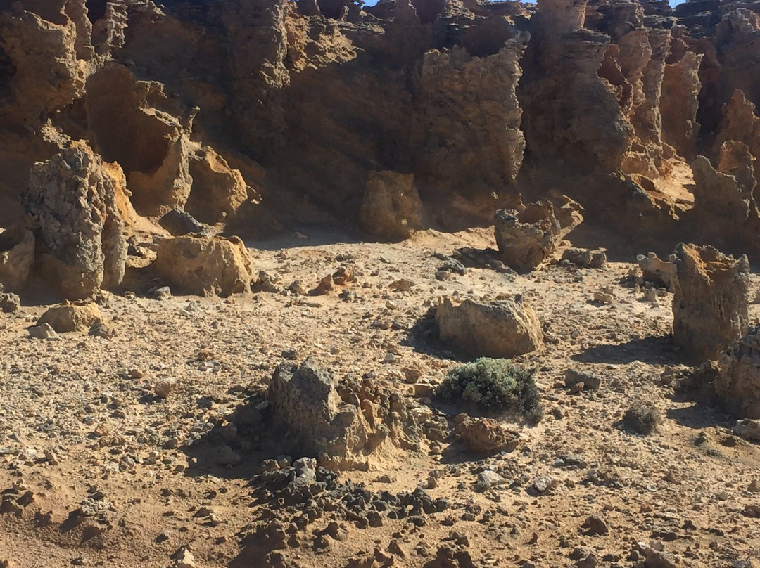Enchanted Forest-Cape Bridgewater必去景点