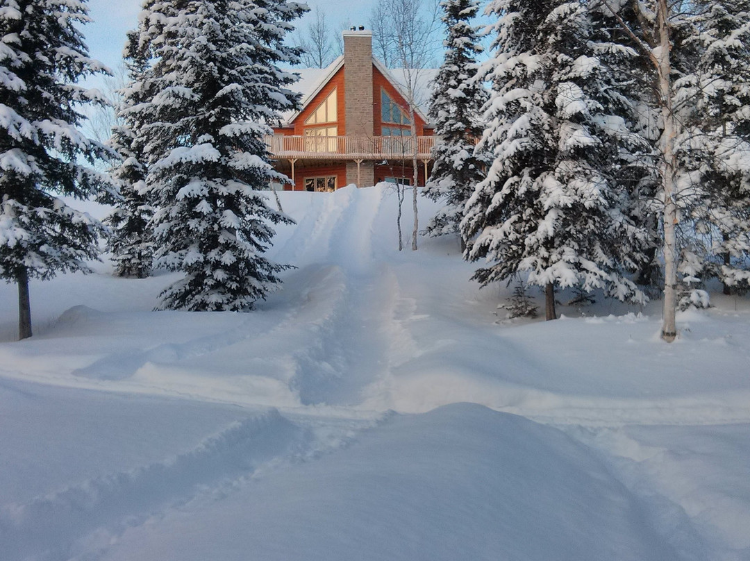 Chalet les Berges d'Alma B&B主图