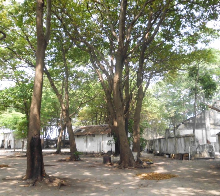 Cipir Island-雅加达必去景点