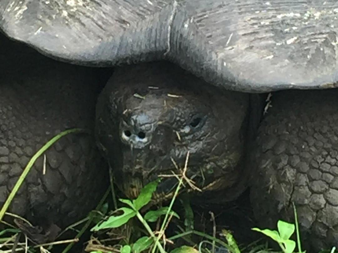 Galapagos Unbound-圣克鲁斯必去景点