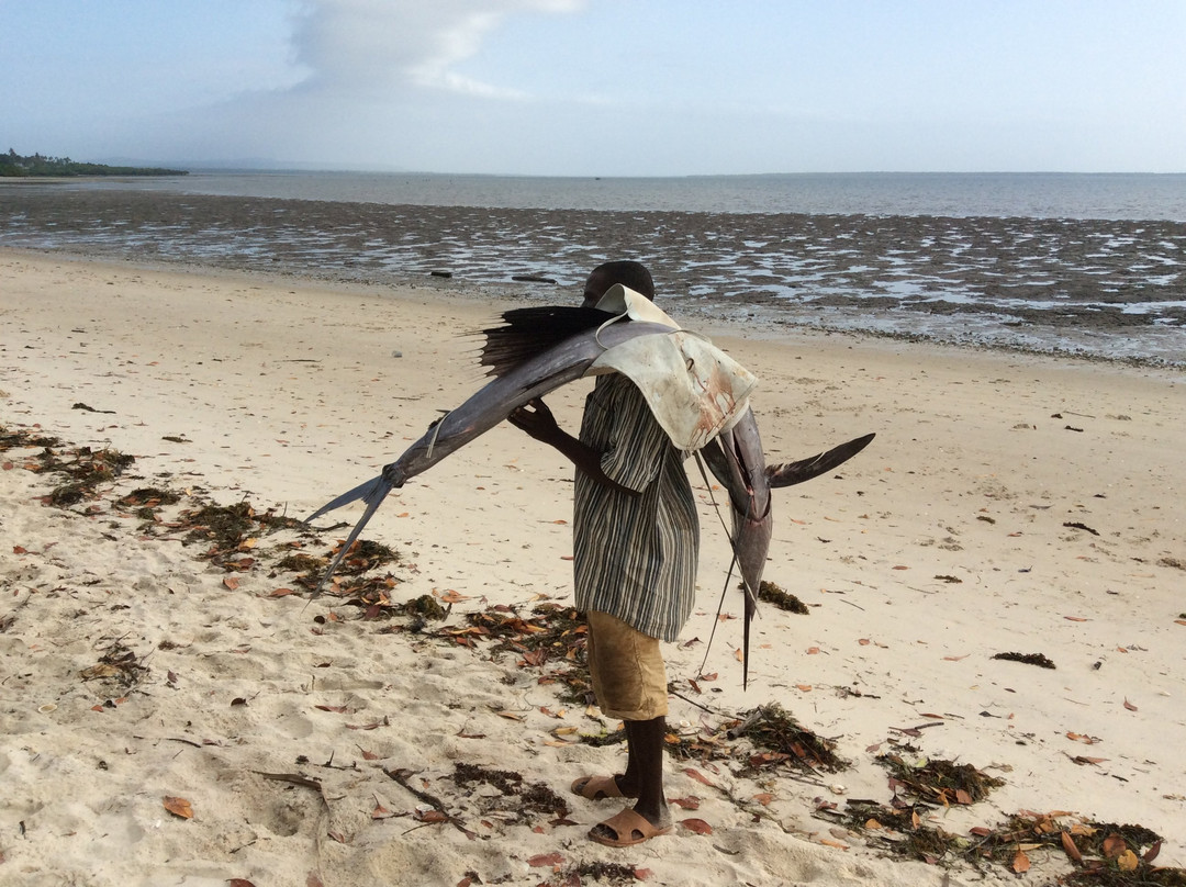 坦噶酒店住宿-Villa Matalai