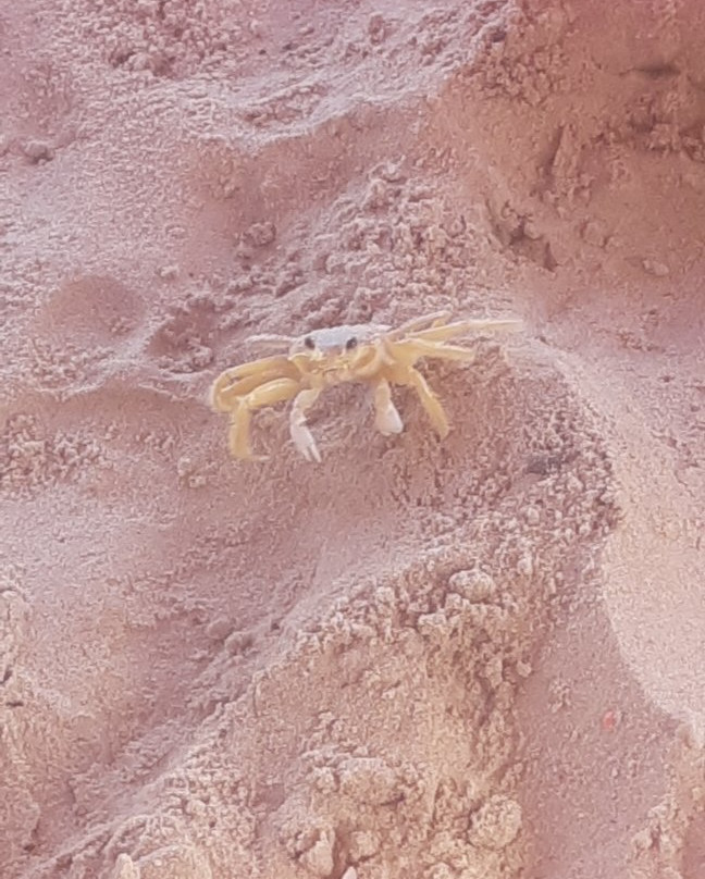 Costa Azul Beach-Mangue Seco必去景点