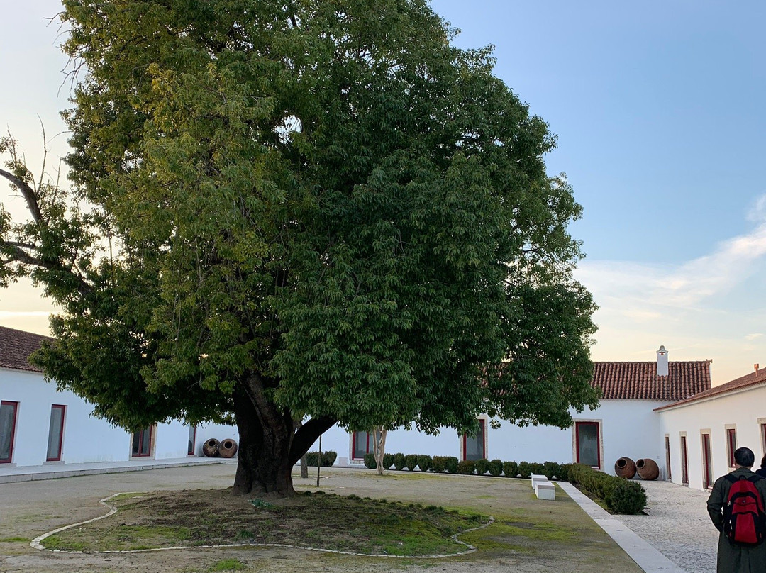 Quinta da Lapa主图