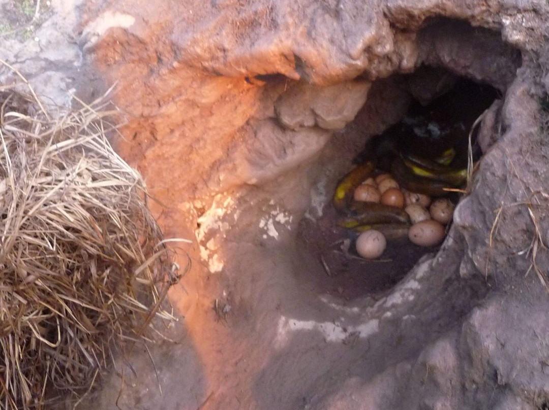 Bali Peak Trekking-乌布必去景点