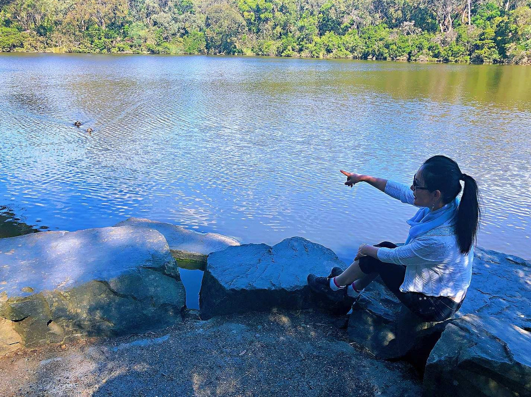 Blackburn Lake Sanctuary景点图片