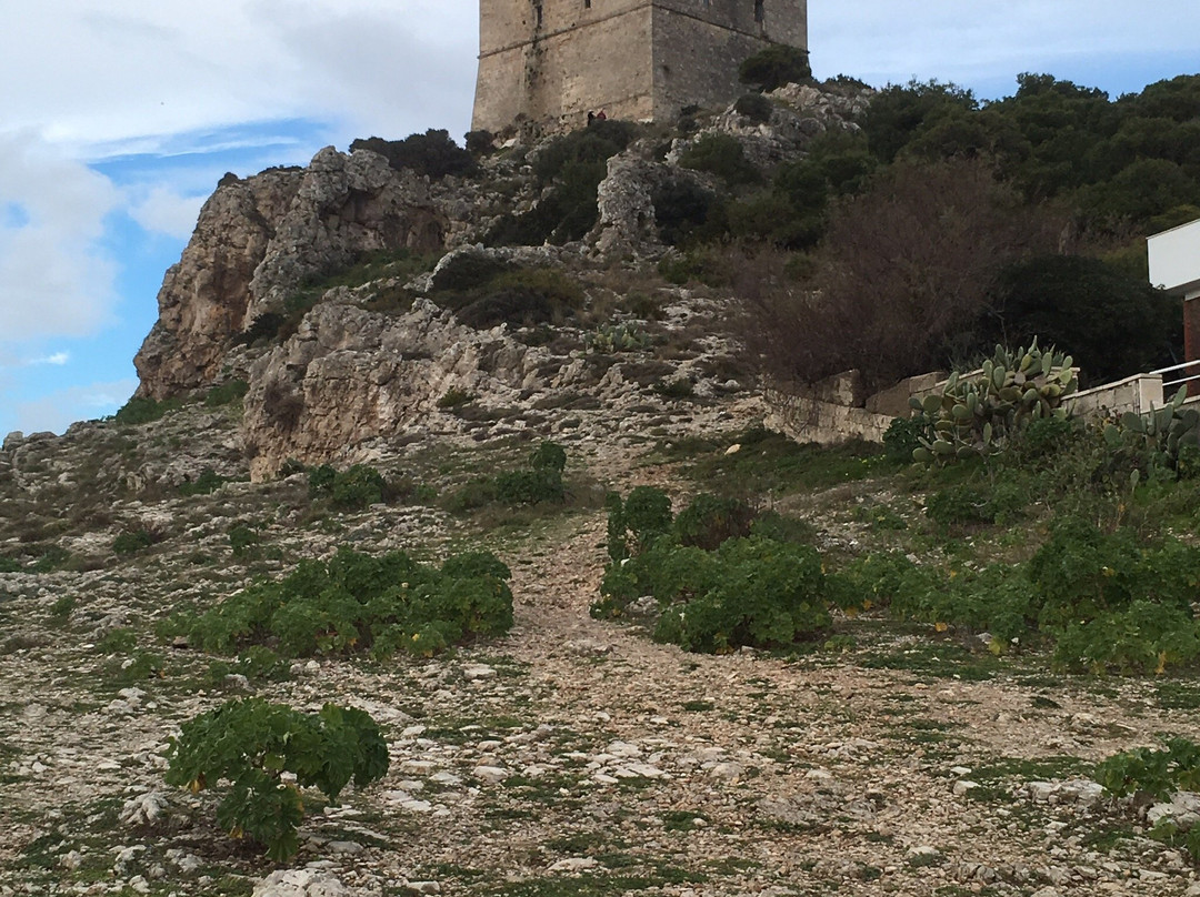 Torre Santa Maria dell'Alto-纳尔德奥必去景点