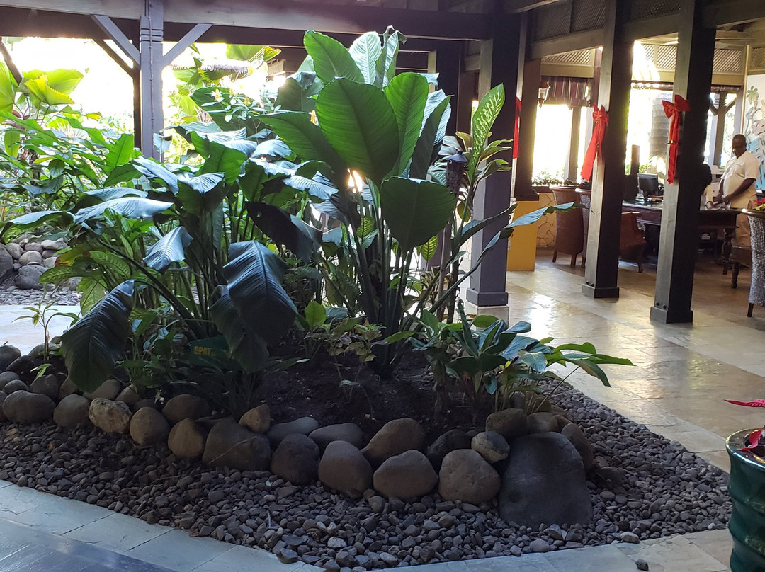 Sunset At The Palms主图