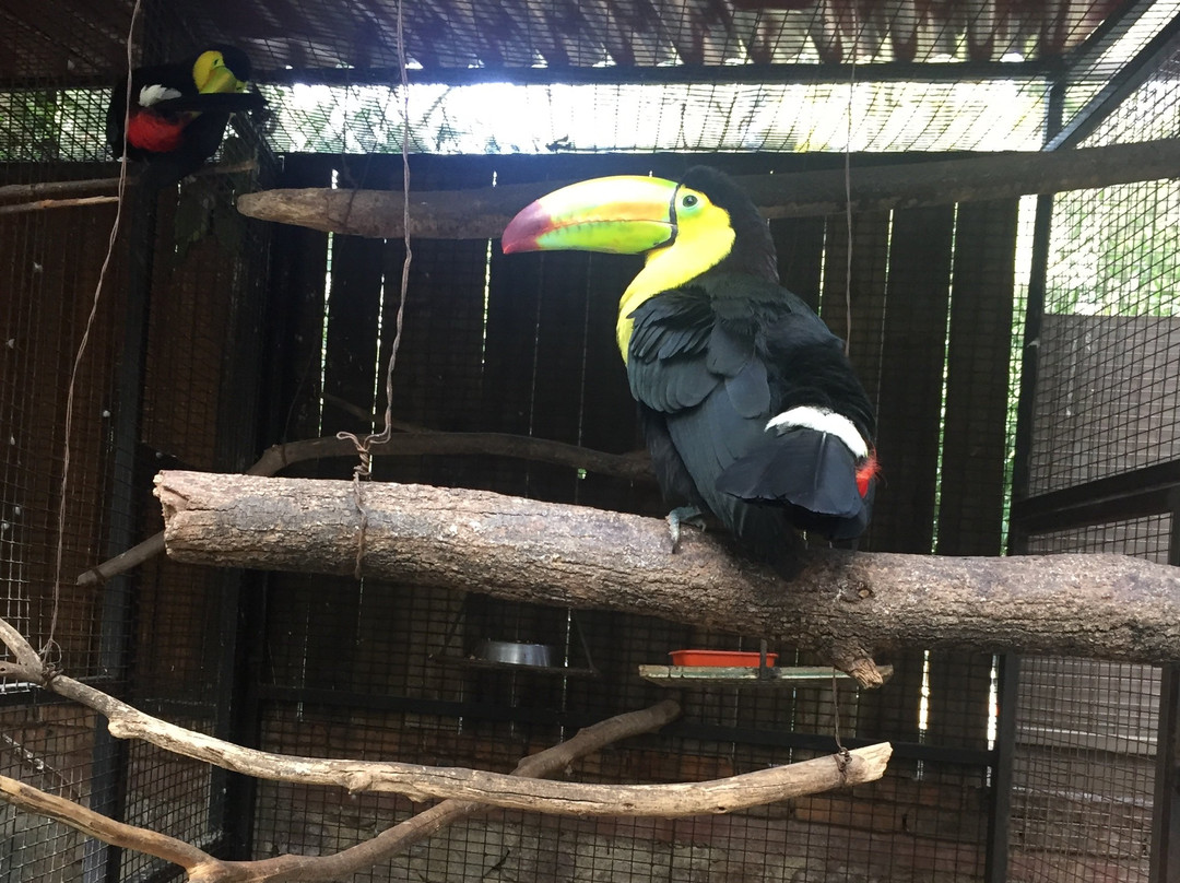 Parque Zoológico de León景点图片