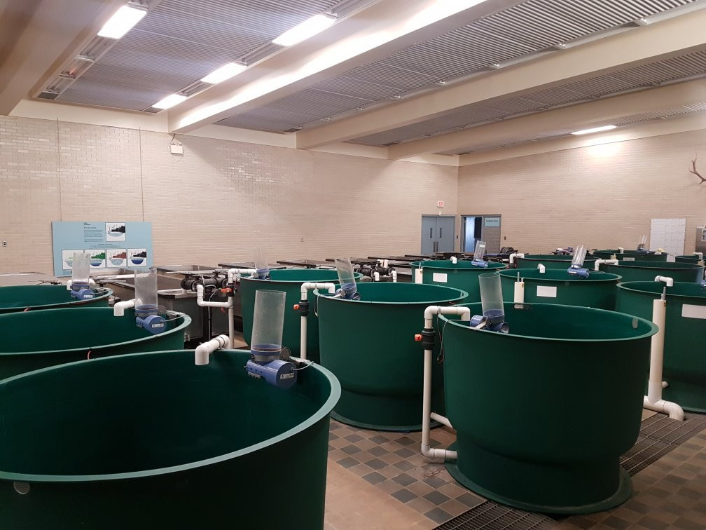 Kootenay Trout Hatchery & Visitor Centre景点图片